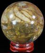Colorful Petrified Wood Sphere #49761-1